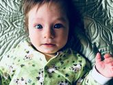 Частая тема: на кого же он похож ?))