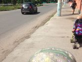 Жарень