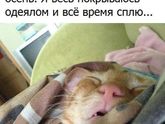 Аллергия на осень 😊
