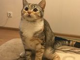 Котя моя ❗️