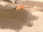 Наш поход в зоопарк)