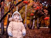 🍁Осень🍁