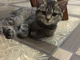 Девочки, вчера муж нашёл