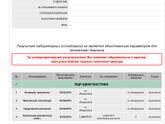 Уреаплазма