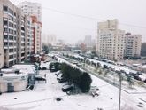 Сегодня пряничку уже 3