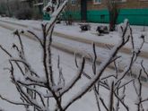 Снежная красота