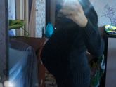 Уже на старте)