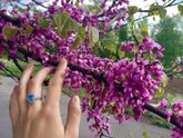 Какая же погодка у нас чудная☺️