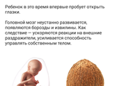 28 неделек