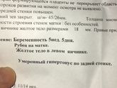 Сделала сегодня узи🙈