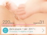 Муж подарил новый iphone заглючила прога