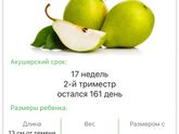 17 недель