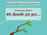 А тем временем...
