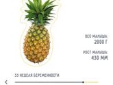 33 недельки радость и одновременно тревога