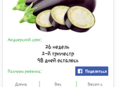 26 недель....