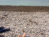 Сезон 🏊‍♀️ 🌊