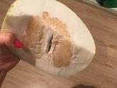 Звиздец девочки купила памелу.