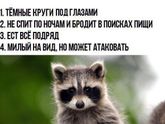 Да!