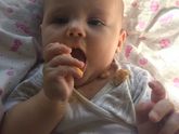 Печеньки