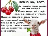 Люблю свою крошку