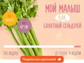 Осталось немножко
