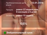 Наши 27 недель! ?? начинаем 28!