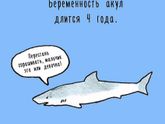 ))