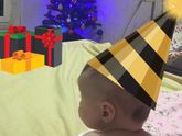 С наступающим Новым Годом !