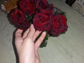 Мои любимые🌹