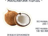 Нам 19 недель, сыну скоро 2,5. Новости)