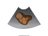 Самые честные рисунки о материнстве.