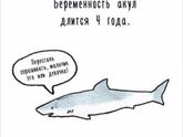 5 вещей, которые я бы посоветовала себе из прошлого