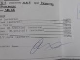 Анализы и ужасы нашего городка
