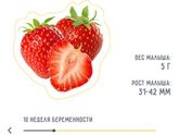 🍓🍓🍓