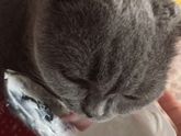 Не заходила 4 месяца,