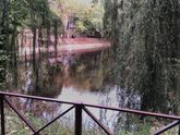 Ходили сегодня на Спиридоновское озеро