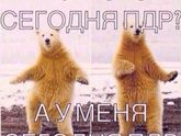 Пдр