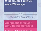 Пдр