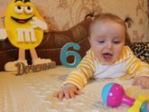 6 месяцев?