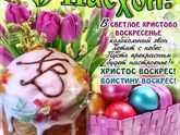 Девочки всех со светлым