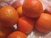 Я их дождалась 🍊😀
