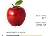 14 неделек!?❤️