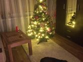 Новогоднее настроение