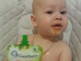 Дегустация Gerber