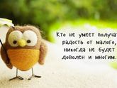 Ураааа! Дали квоту...