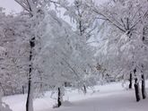 ❄️ 3 мая 2017