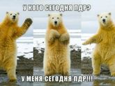ПДР