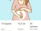 Почти 💯 дней