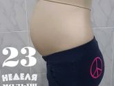 23 недели