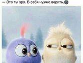 Моет паром!